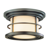Feiss OL2213BB Lighthouse 2 Light 10 inch Burnished Bronze Outdoor Flush Mount photo thumbnail
