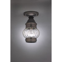 Northeast Lantern 2014-AC-MED-CLR Onion 1 Light 6 inch Antique Copper Flush Mount Ceiling Light in Clear Glass photo thumbnail