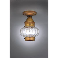 Northeast Lantern 2024-RB-MED-OPT Onion 1 Light 7 inch Raw Brass Flush Mount Ceiling Light in Optic Glass photo thumbnail