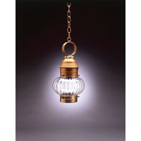 Northeast Lantern 2032-RB-MED-OPT Onion 1 Light 8 inch Raw Brass Hanging Lantern Ceiling Light in Optic Glass photo thumbnail