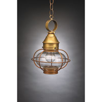Northeast Lantern 2522-DB-MED-CLR Onion 1 Light 9 inch Dark Brass Hanging Lantern Ceiling Light Clear Glass photo thumbnail