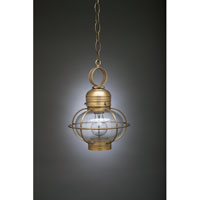 Northeast Lantern 2522G-AB-MED-FST Onion 1 Light 9 inch Antique Brass Hanging Lantern Ceiling Light in Frosted Glass photo thumbnail