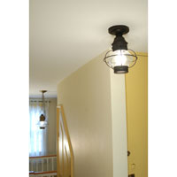 Northeast Lantern 2524-AB-MED-FST Onion 1 Light 9 inch Antique Brass Flush Mount Ceiling Light in Frosted Glass photo thumbnail