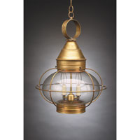 Northeast Lantern 2572-RB-MED-FST Onion 1 Light 15 inch Raw Brass Hanging Lantern Ceiling Light in Frosted Glass, Medium photo thumbnail