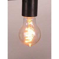 Northeast Lantern Light Bulbs