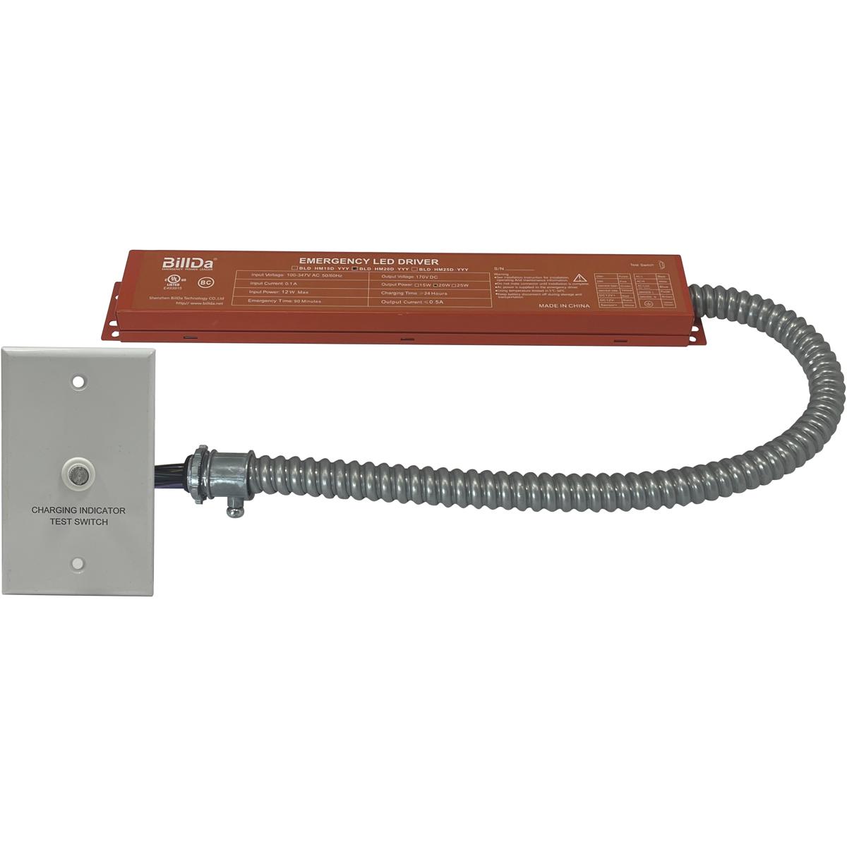 Nora Lighting NEPK-20LEDUNV Aaliyah Unfinished Exit / Emergency Ceiling Light