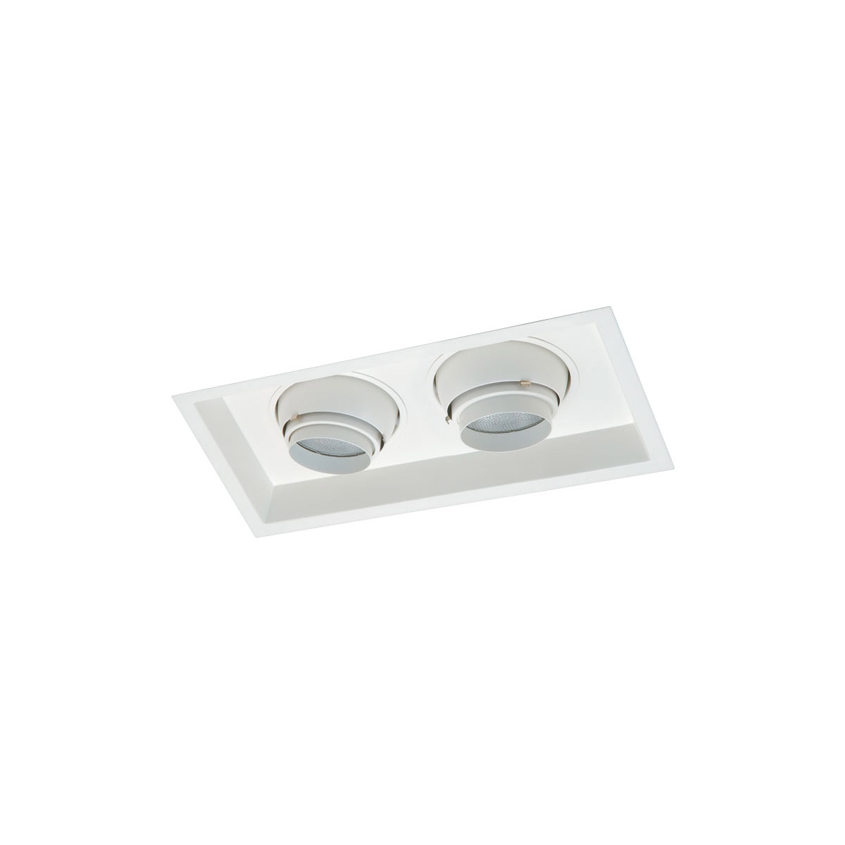 Nora Lighting NMRT-12628BW 2 Lamp PAR30 Eyeball Trim, Black & White