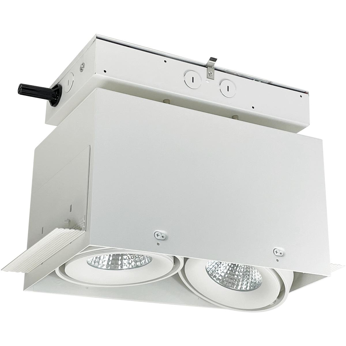 Nora Lighting NMRTLG-12D6L1930W Trimless Multiple Lighting System White Recessed Trimless 2-Head MLS Housing in Narrow Flood, 3000K