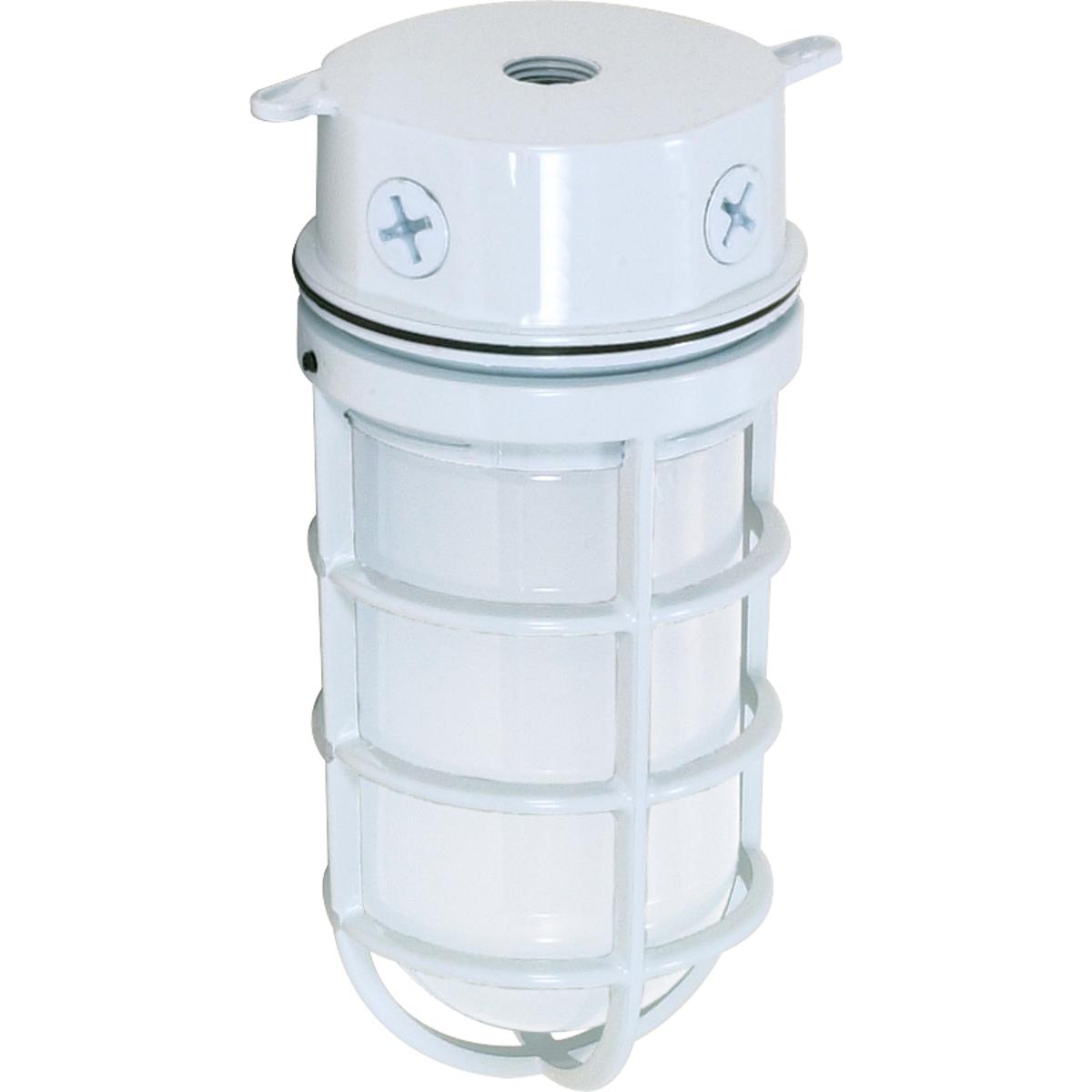 1-Light - 10in. - Industrial Style - Surface Mount with Frosted Glass - White Finish
