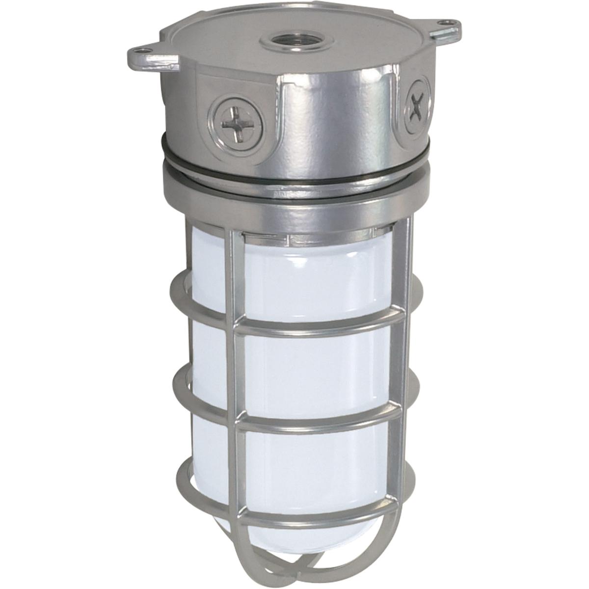 1-Light - 10in. - Industrial Style - Surface Mount with Frosted Glass - Metallic Silver Finish