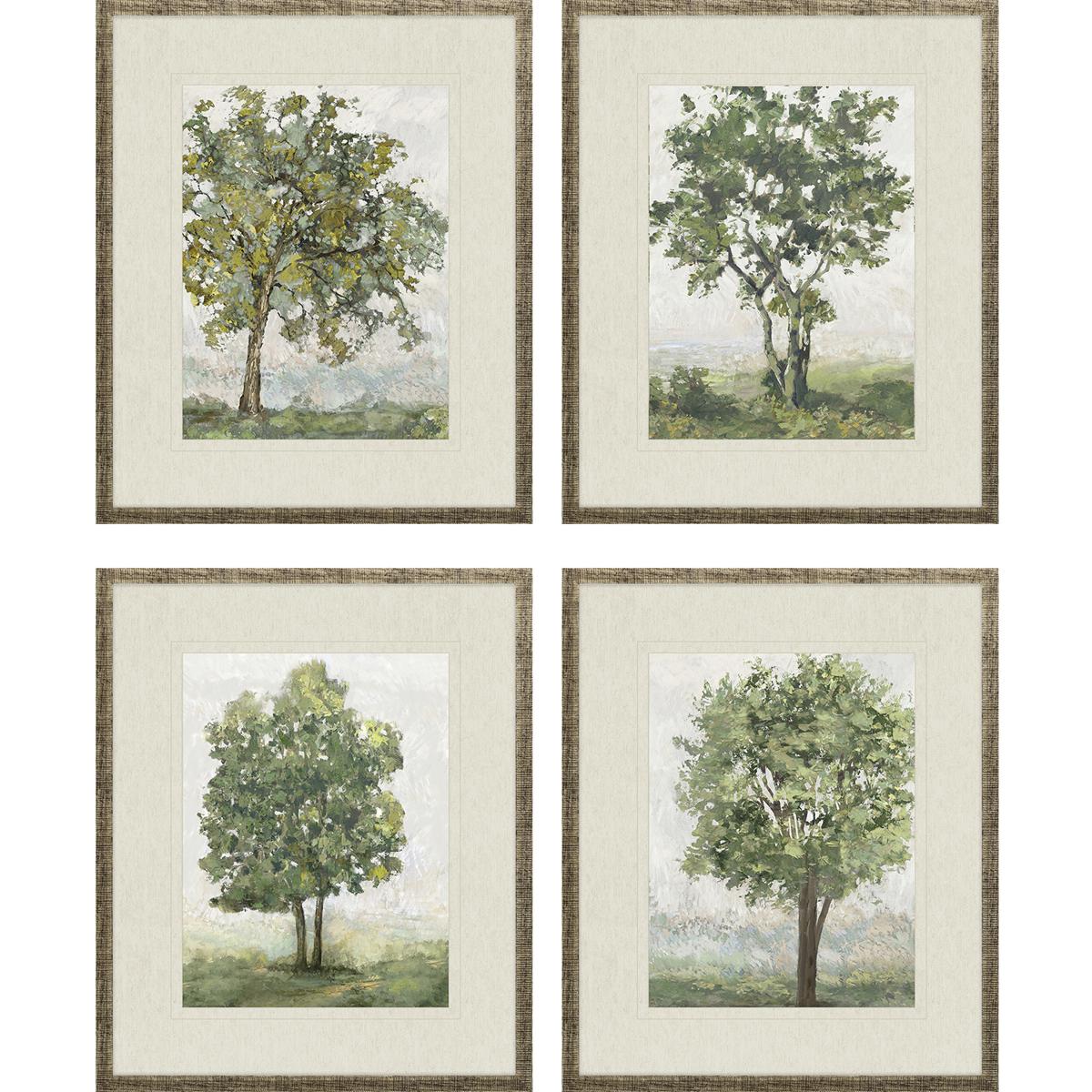 Paragon 15768 Landscapes Green and Brown and Gray and White Framed Art