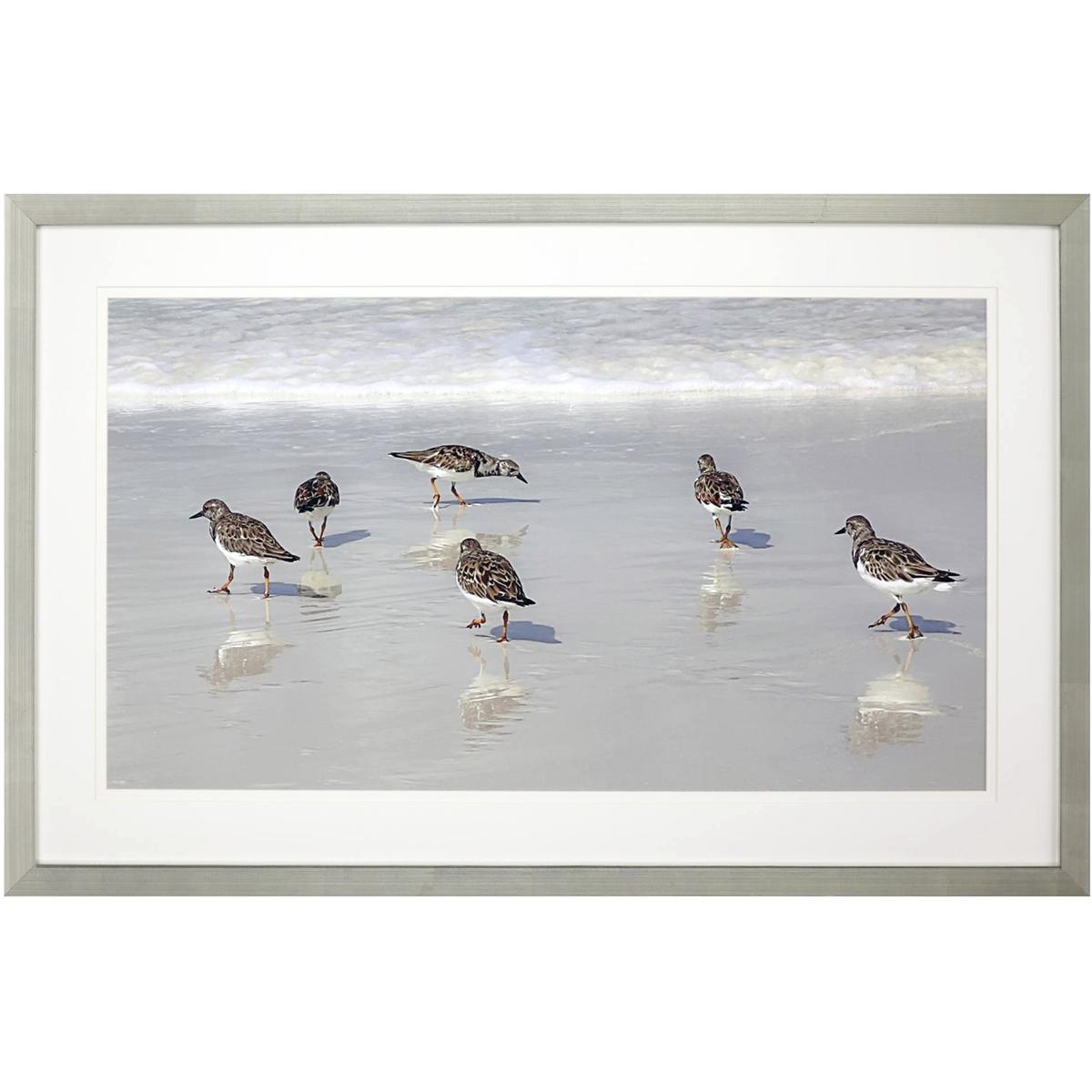 Paragon 31521 Animals White and Blue and Brown Framed Art