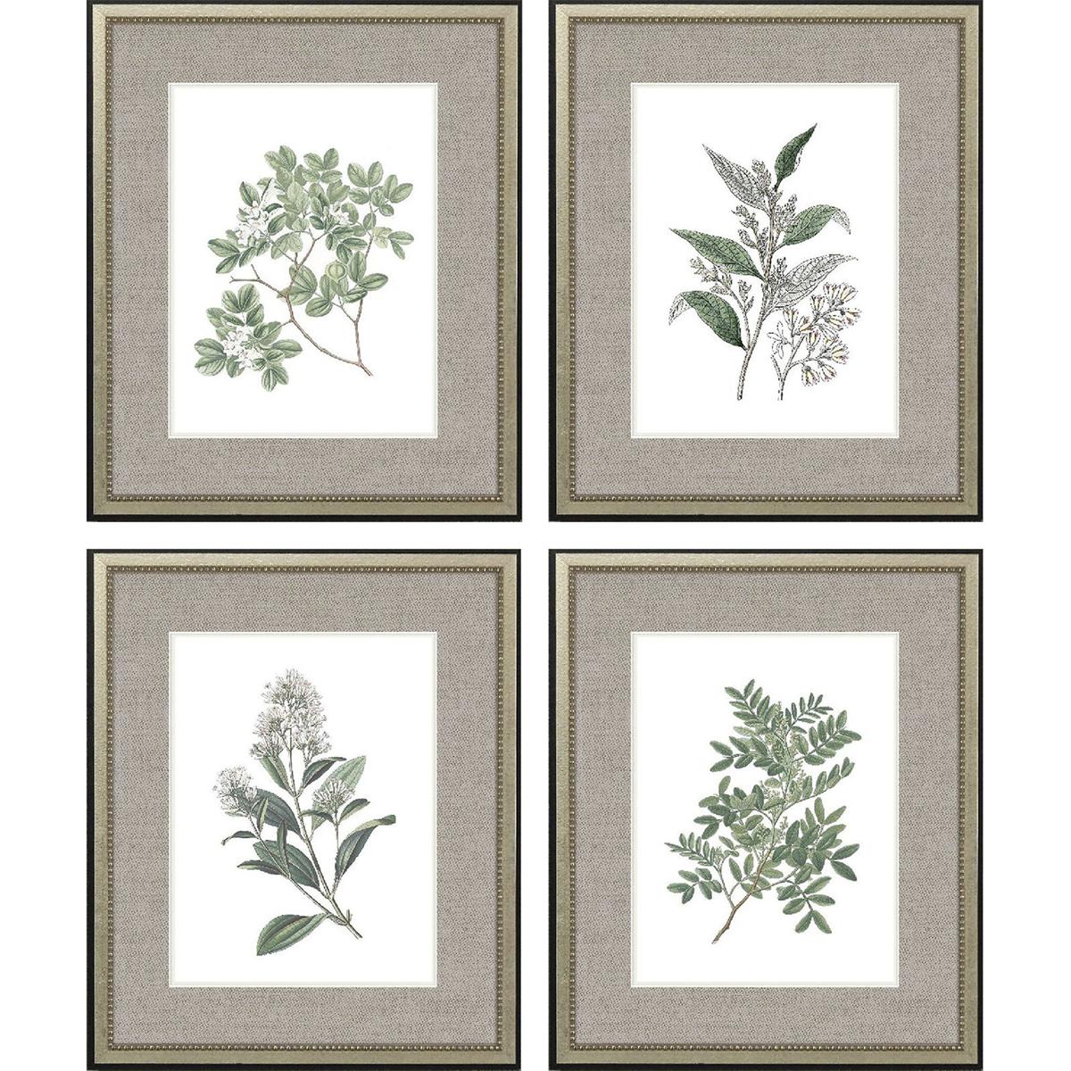Paragon 31716 Florals Green and White and Pink Framed Art