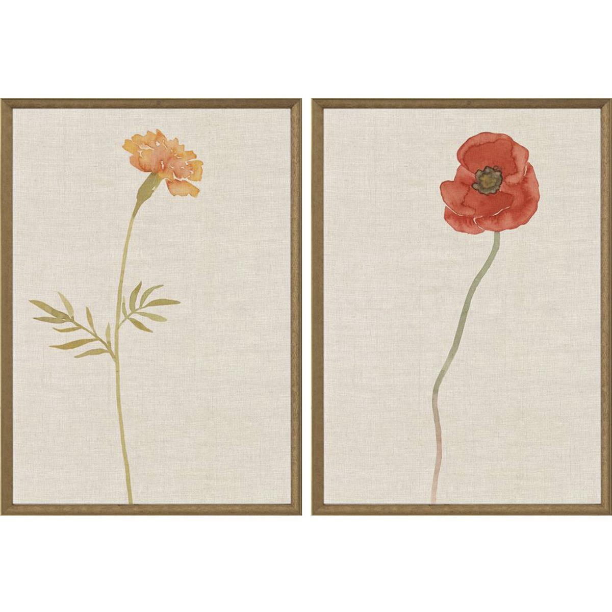 Paragon 31845 Wild Flourish Multi and Beige and Orange and Red Framed Art