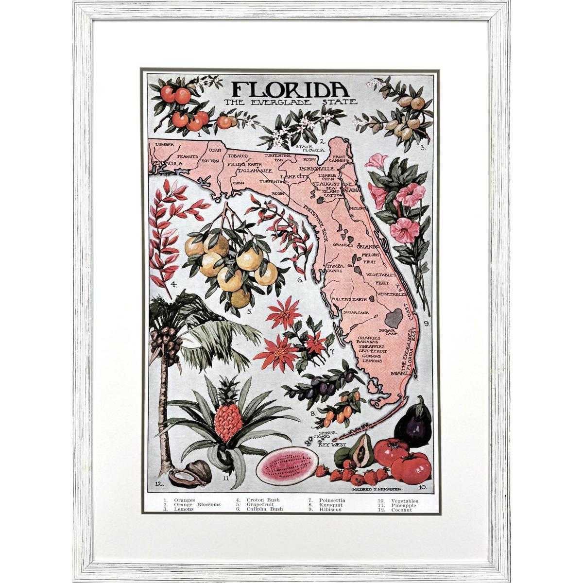 Paragon 32547 Vintage Florida Map Pink and Green and Brown Framed Art