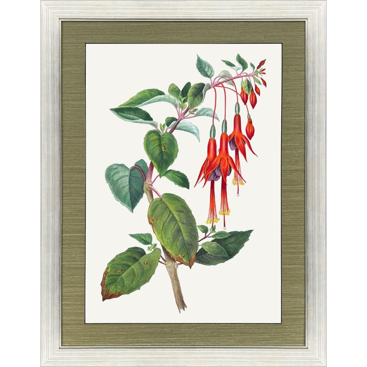 Paragon 33248 Bird of Paradise / Cactus Floral / Caladium / Downward Red Floral Red and Green and Multi Framed Art