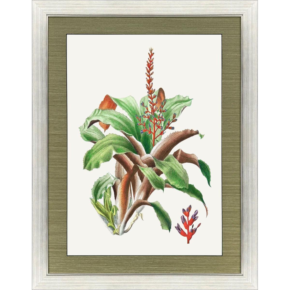 Paragon 33249 Bird of Paradise / Cactus Floral / Caladium / Downward Red Floral Red and Green and Multi Framed Art