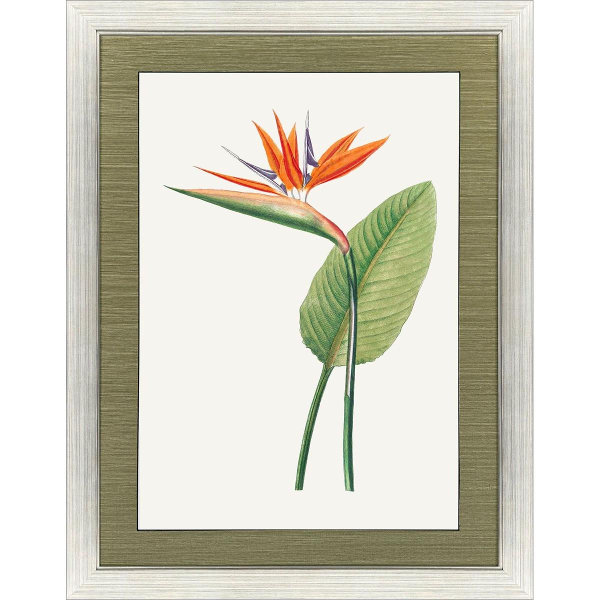 Paragon 33250 Bird of Paradise / Cactus Floral / Caladium / Downward Red Floral Red and Green and Multi Framed Art
