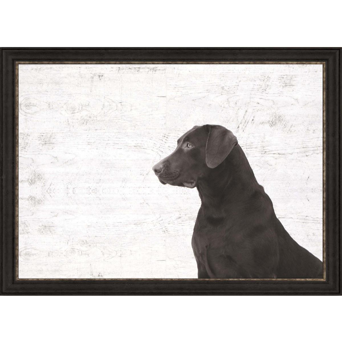 Paragon 3893 Animals Neutral and Brown and White Framed Art