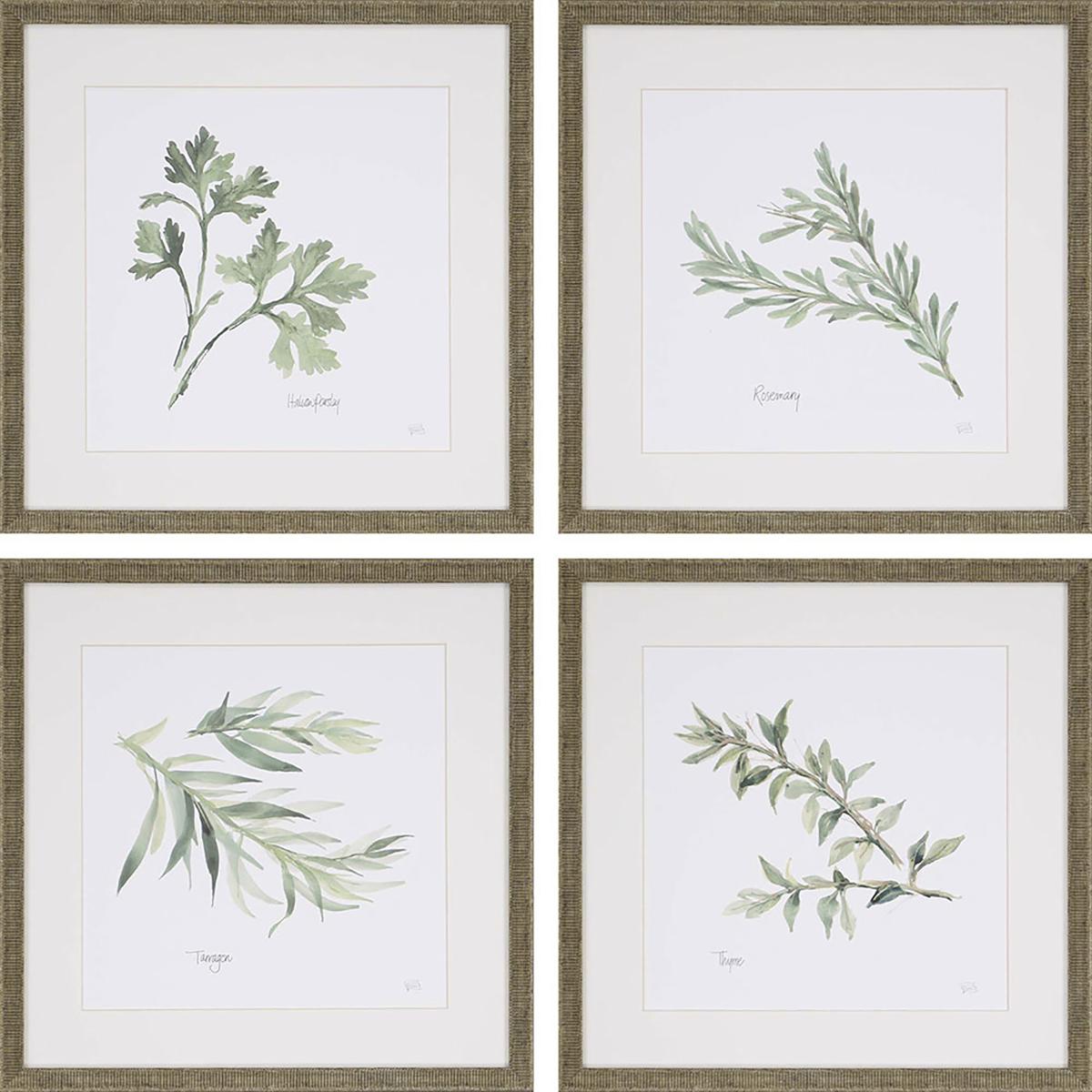 Paragon 3970 Culinary Green and Brown and White Framed Art