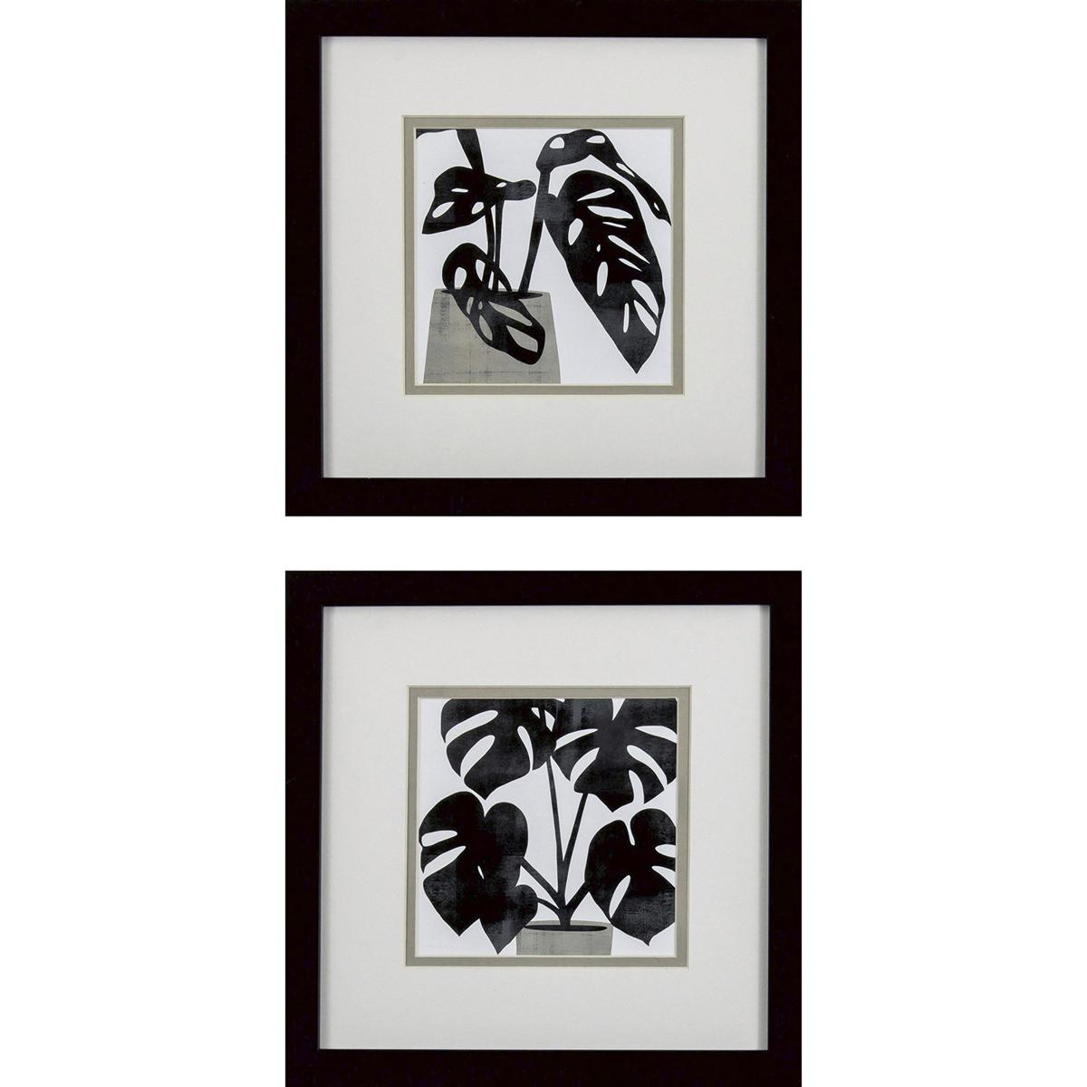 Paragon 48092 Plantling Black and White and Brown Framed Art, Propac