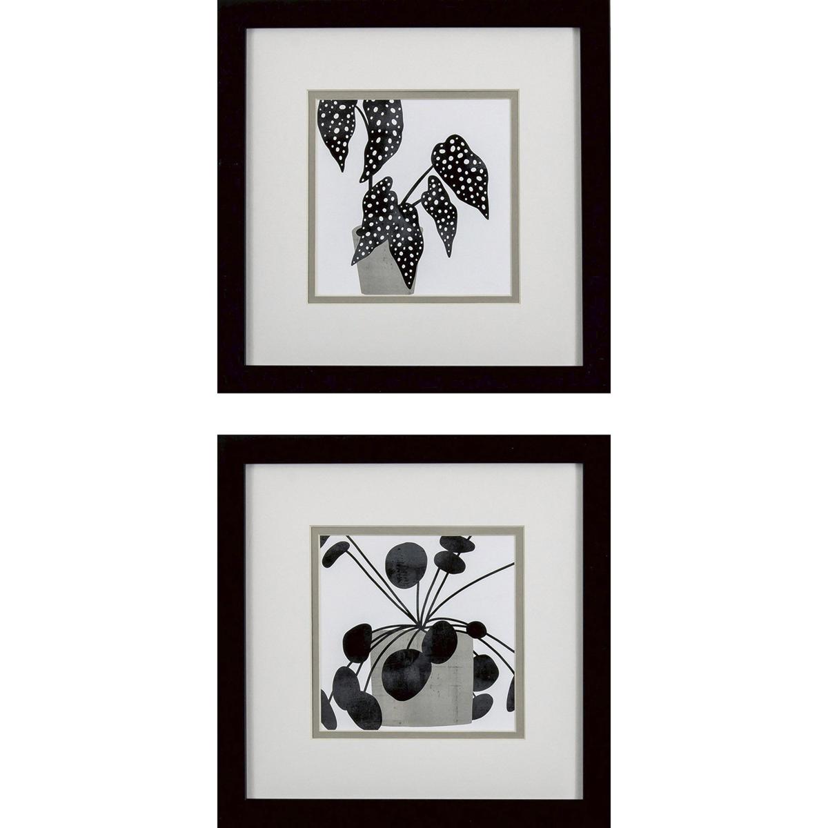 Paragon 48093 Plantling Black and White and Brown Framed Art, Propac