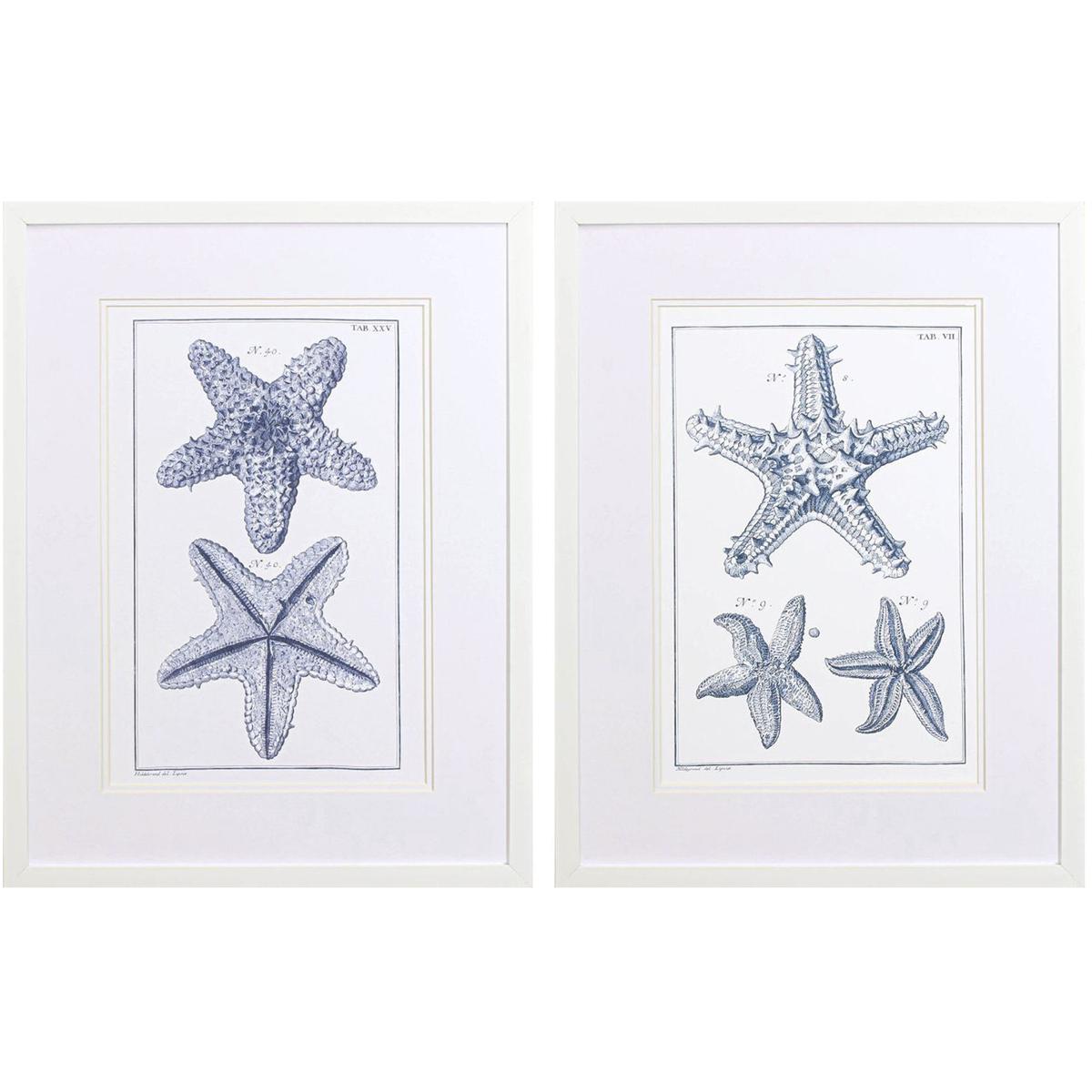 Paragon 48520 Blue Sea Stars Blue Framed Art Propac