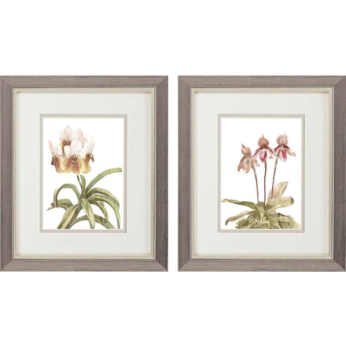 Paragon 48579 Floral Beauty Pink and Green and Brown and Beige Framed Art, Propac