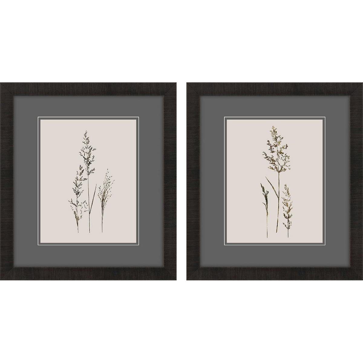 Paragon 48587 Florals Black and Beige and Gray and Neutral Framed Art Propac