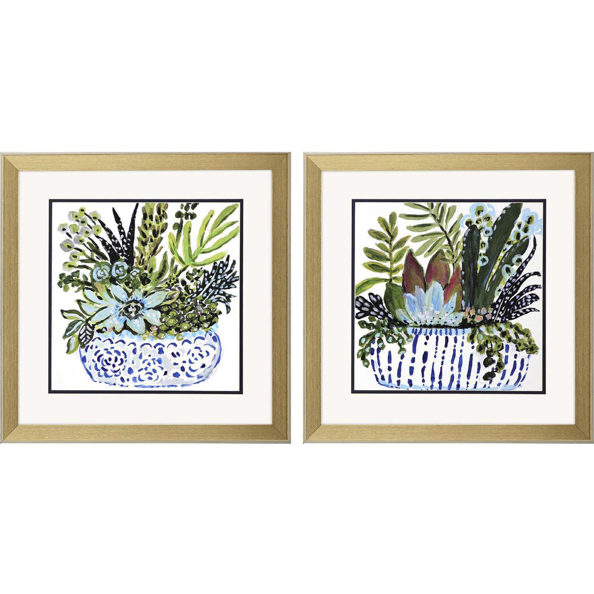 Paragon 48598 Succulent Garden Blue and Green Framed Art, Propac