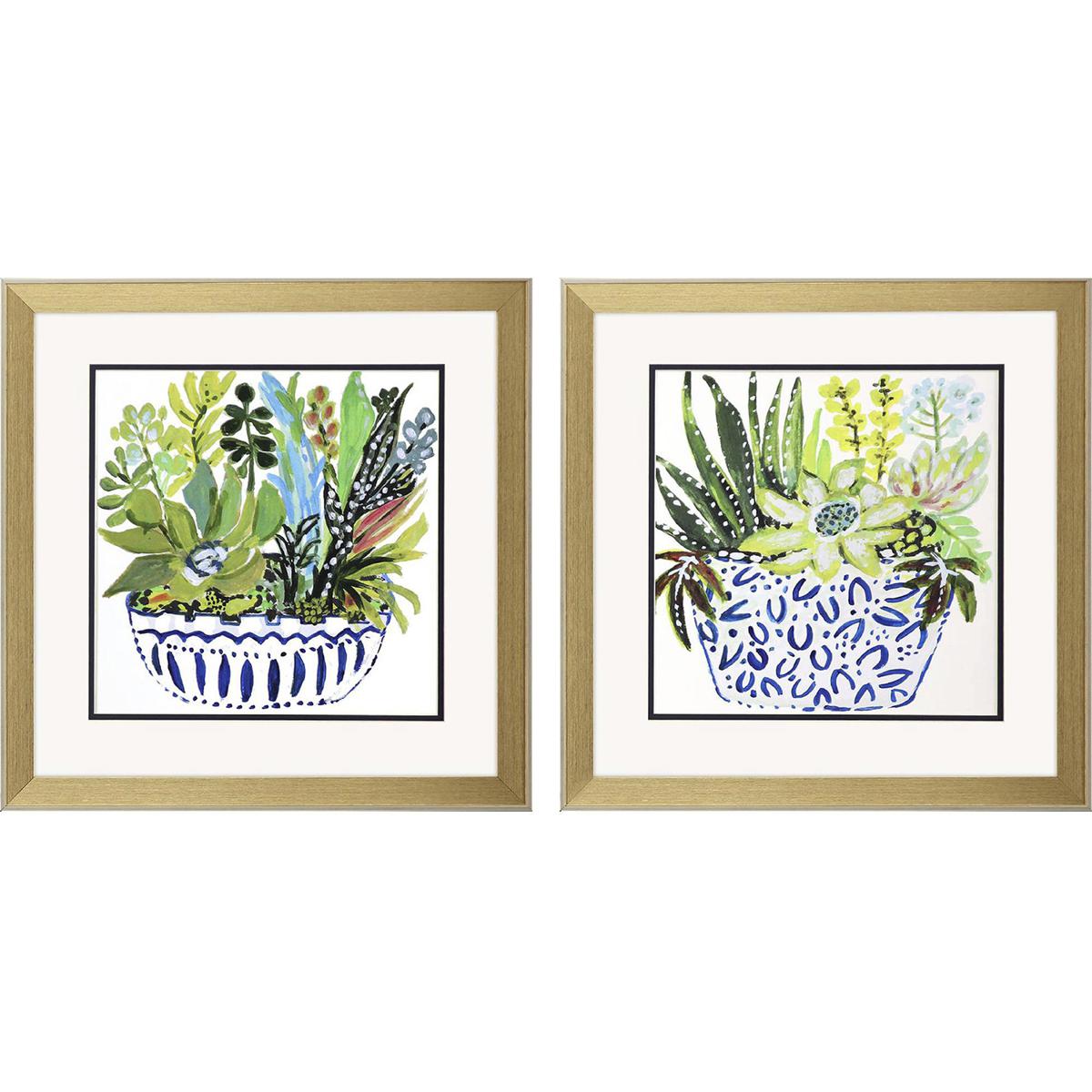 Paragon 48599 Succulent Garden Blue and Green Framed Art, Propac