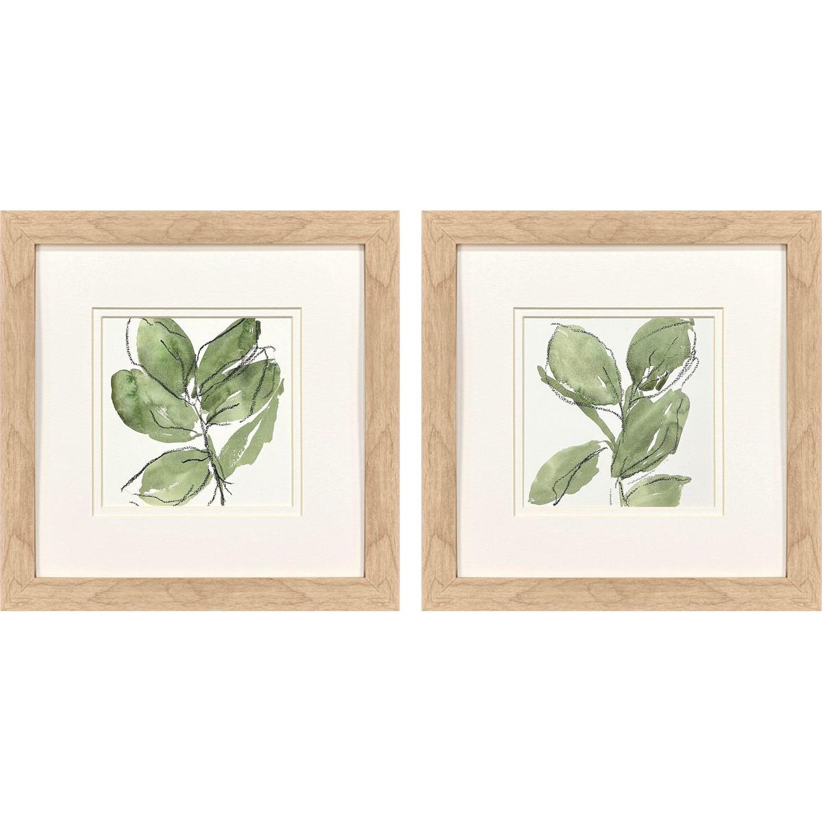 Paragon 48776 Summer Leaves Green and Black and White Framed Art, Propac