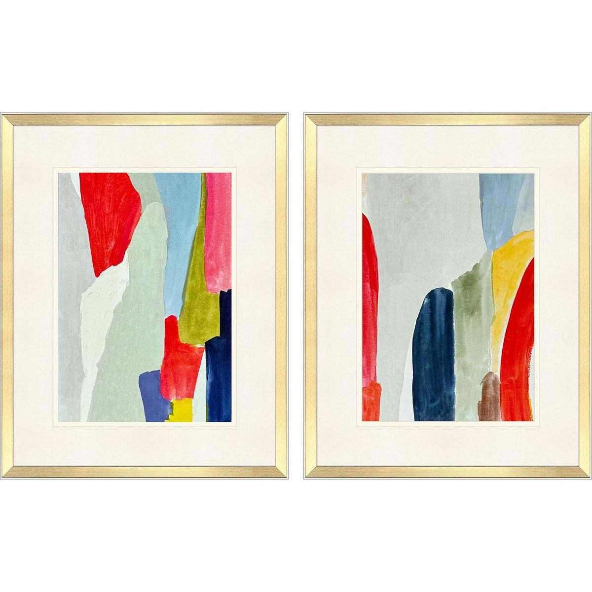 Paragon 48906 Propac Blue and Green and Pink and Red Framed Art, Propac