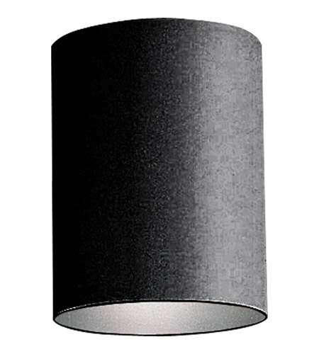 Cylinder 1 Light 5 Inch Black Outdoor Ceiling Mount