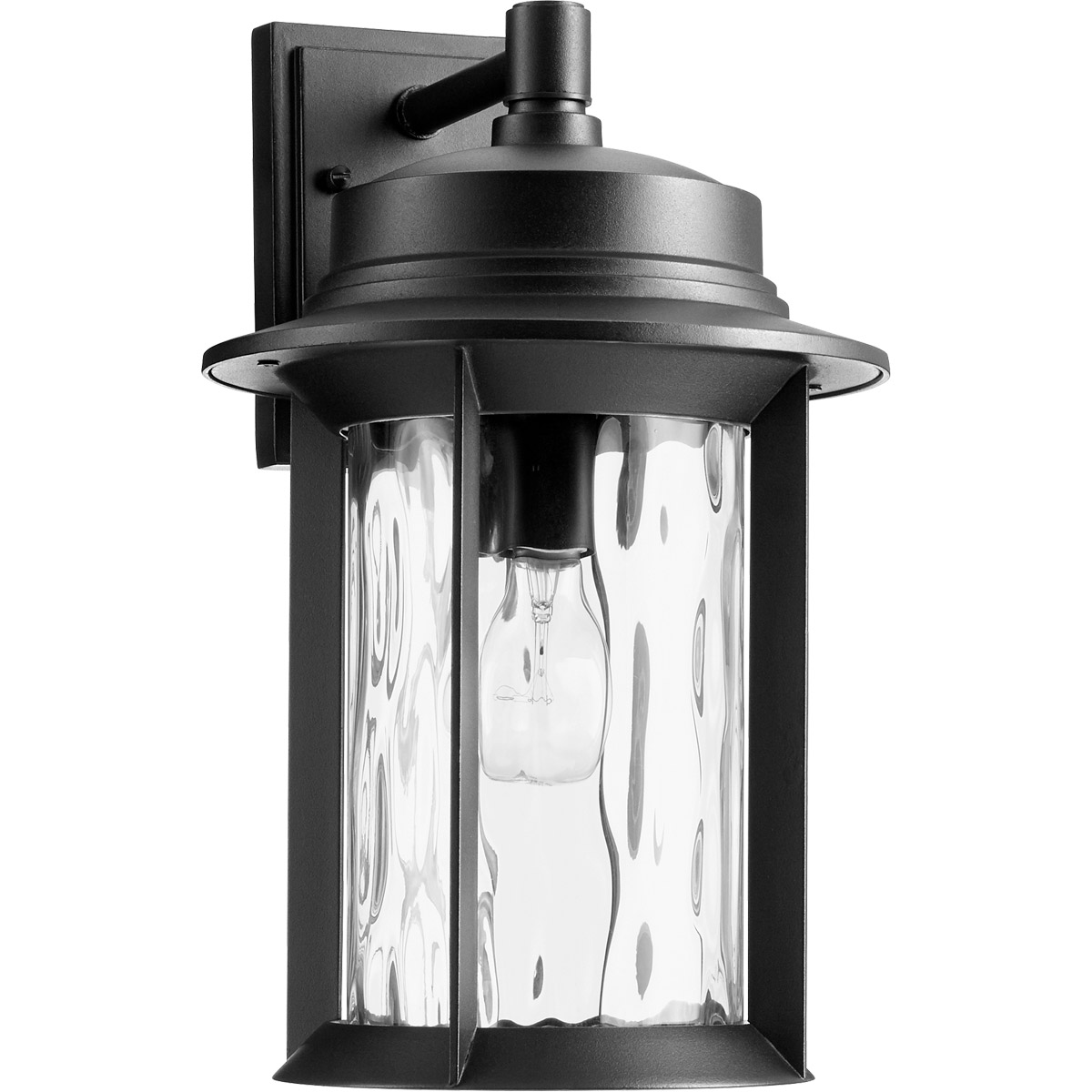Quorum 7246-9-69 Charter 1 Light 16 inch Noir Outdoor Wall Lantern, Clear Hammered