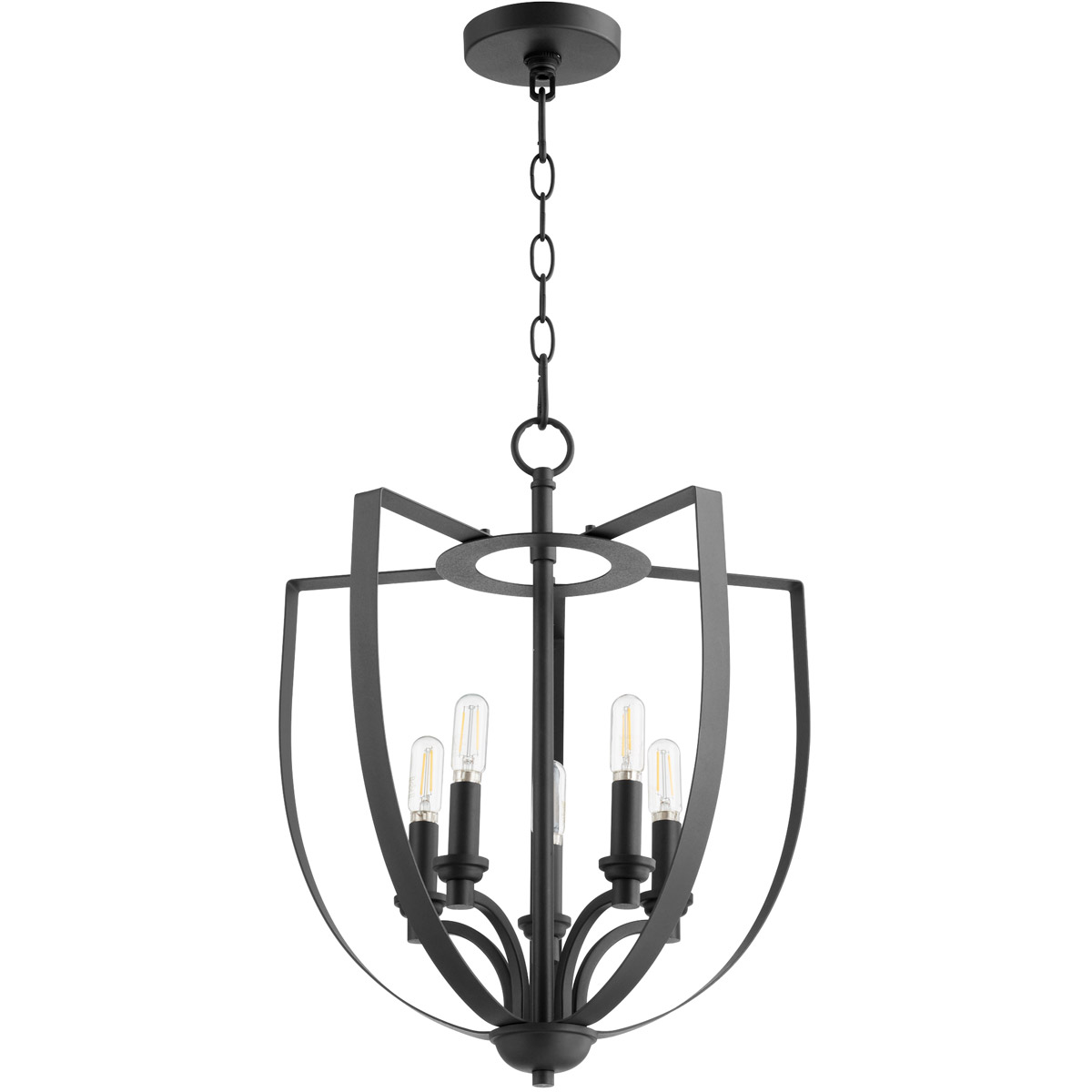 Quorum 8202-5-69 Dakota 5 Light 16 inch Noir Entry Pendant Ceiling Light