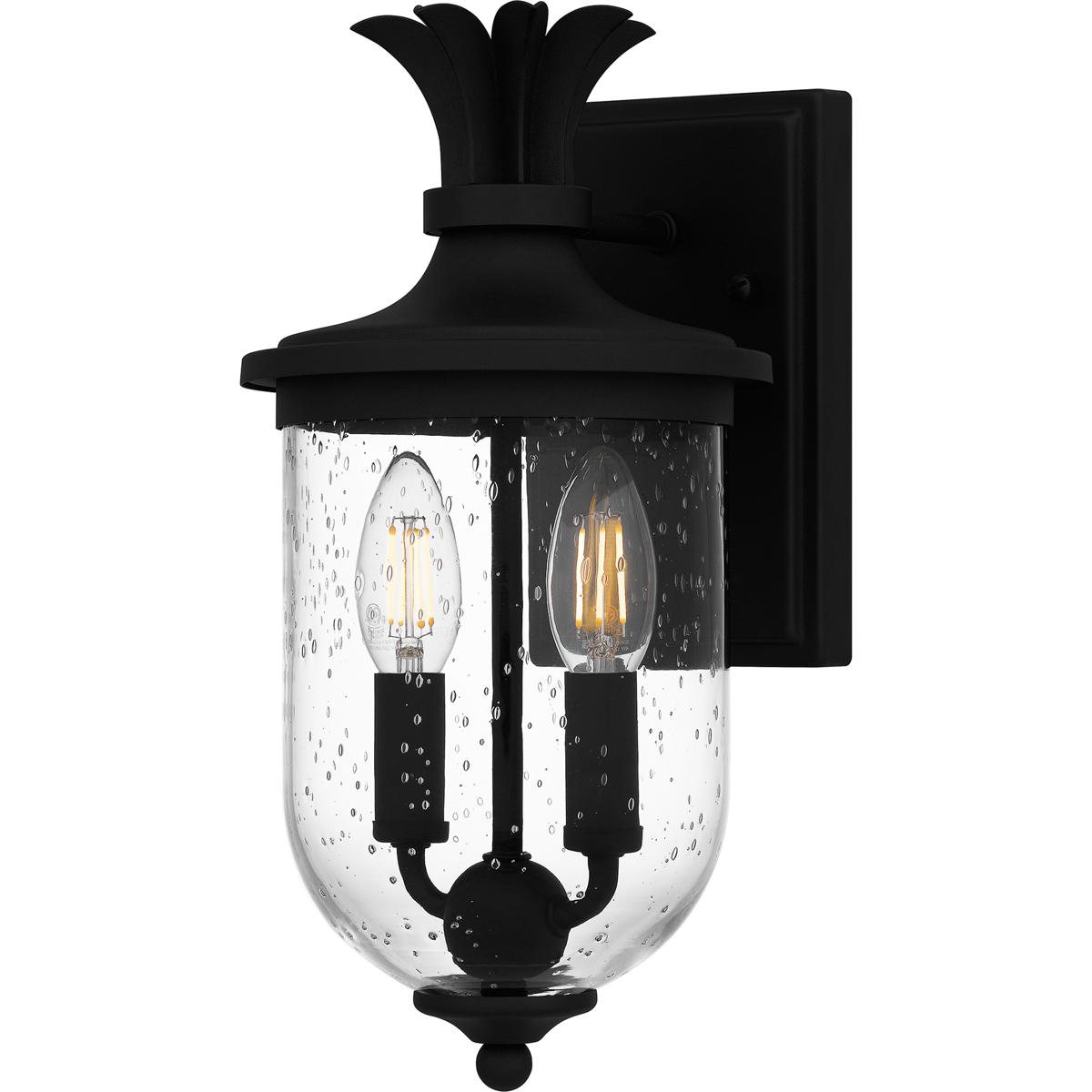 Quoizel HVN8406EK Havana 2 Light 6.5 inch Earth Black Outdoor Lantern, Small