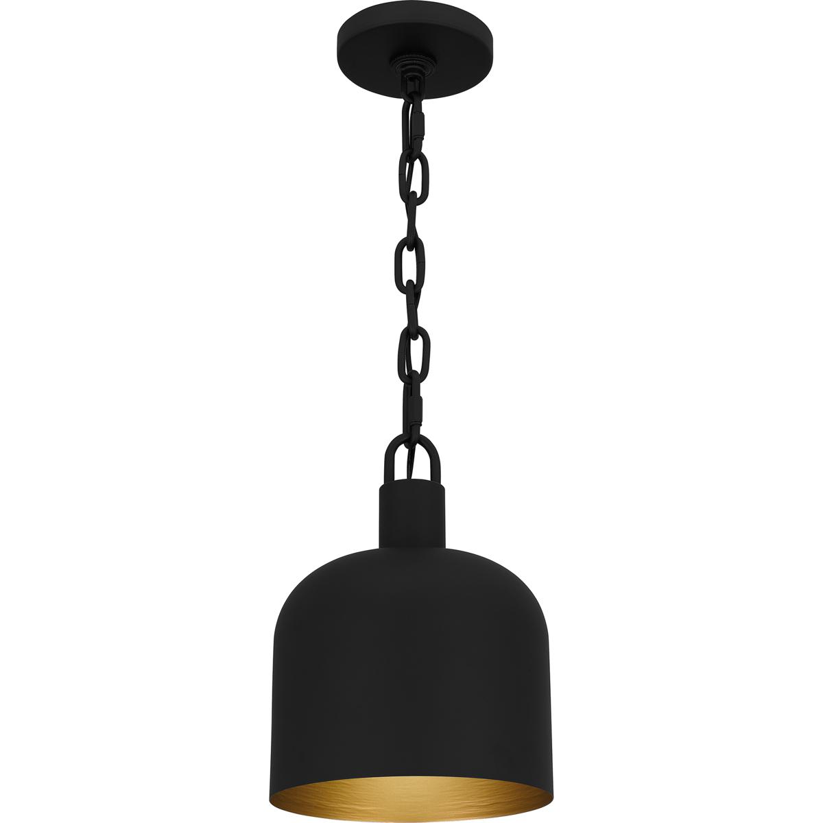 Quoizel QPP6206MBK Raquel 1 Light 8 inch Matte Black Mini Pendant Ceiling Light, Small