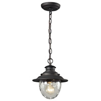 Spark & Spruce 23414-WC Labette 1 Light 8 inch Weathered Charcoal Outdoor Hanging Light thumb