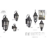 Spark & Spruce 24649-C Brant 4 Light 37 inch Charcoal Outdoor Sconce 47103_4_col01.jpg thumb