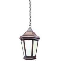 Spark & Spruce 24141-BPCS Clay 1 Light 16 inch Bronze Patina Outdoor Hanging Lantern Fluorescent thumb