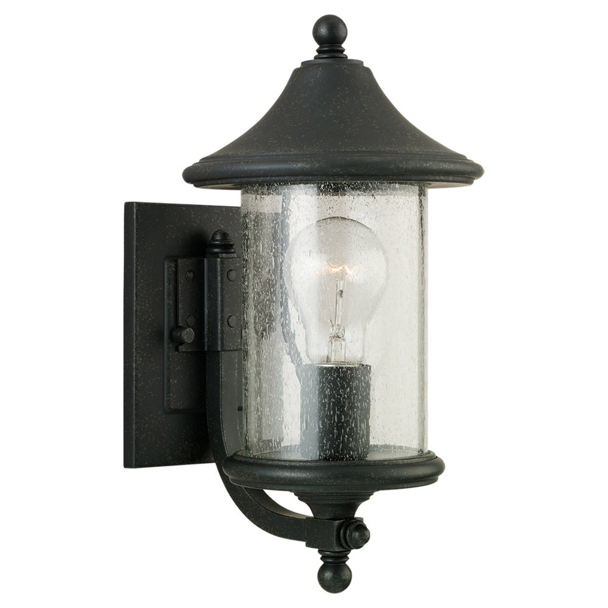 Sea Gull Lighting Berkley Hill 1 Light Outdoor Wall Lantern in Forged Iron 88305-185