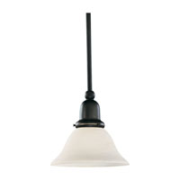Sea Gull 61060-782 Sussex 1 Light 8 inch Heirloom Bronze Mini Pendant Ceiling Light in Satin Etched Glass photo thumbnail