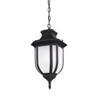 Sea Gull 6236301BLE-12 Childress 1 Light 9 inch Black Outdoor Pendant in Fluorescent thumb