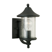 Sea Gull Lighting Berkley Hill 1 Light Outdoor Wall Lantern in Forged Iron 88305-185 thumb