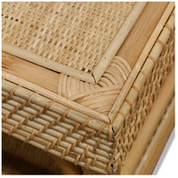 StyleCraft Home Collection ISF25550DS Jace 40 X 23 inch Natural Rattan Finish Coffee Table alternative photo thumbnail