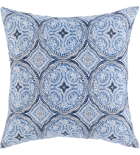 light blue pillow covers