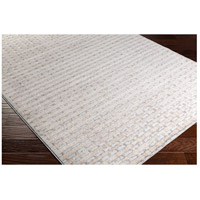 Surya ADO1012-5373 Amadeo 87 X 63 inch Neutral and Neutral Area Rug, Polypropylene and Polyester alternative photo thumbnail