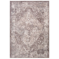Surya APY1000-23 Apricity 36 X 24 inch Medium Gray/Taupe/White Rugs, Polyester photo thumbnail