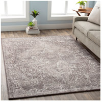 Surya APY1000-23 Apricity 36 X 24 inch Medium Gray/Taupe/White Rugs, Polyester alternative photo thumbnail
